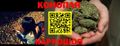 крисы Можайск