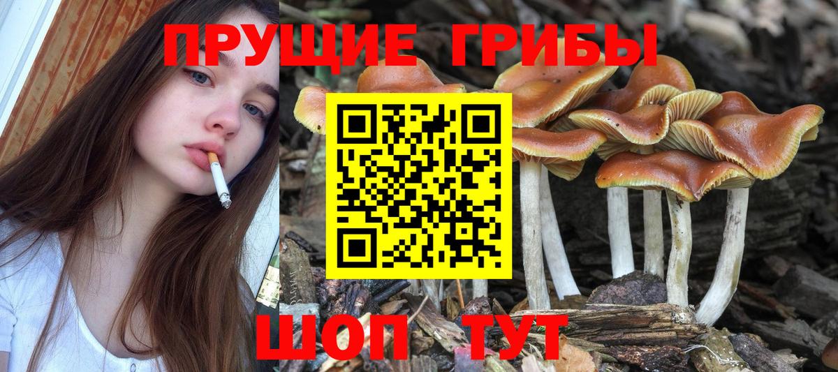 наркота  Галлюциногенные грибы Magic Shrooms  Вход с VPN  Великий Новгород 